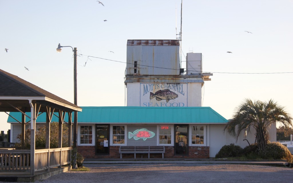 Best Seafood Market in Wilmington Atlantic Wellness