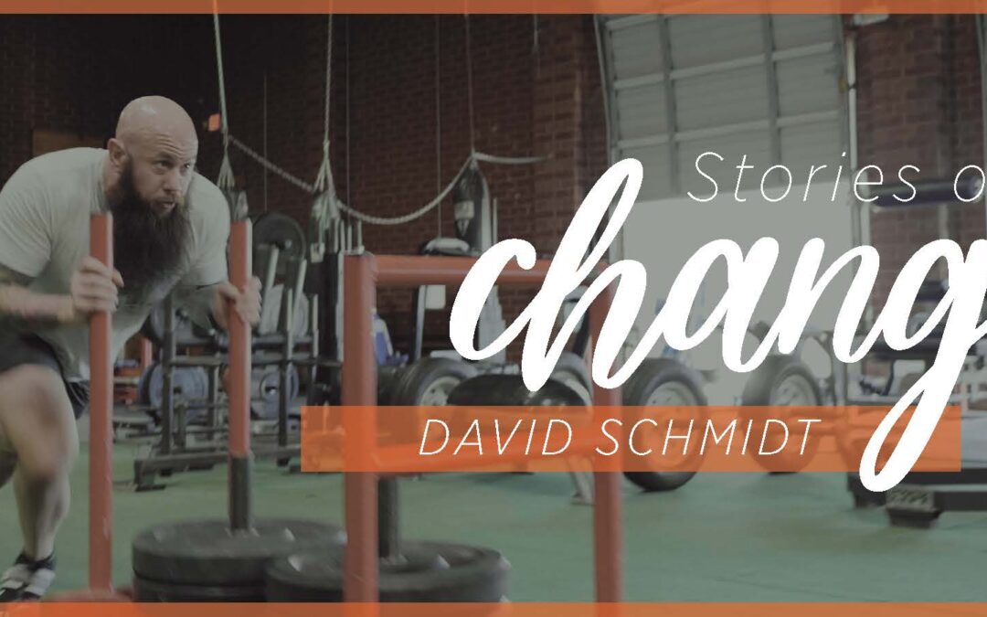 Stories of Change: David Schmidt